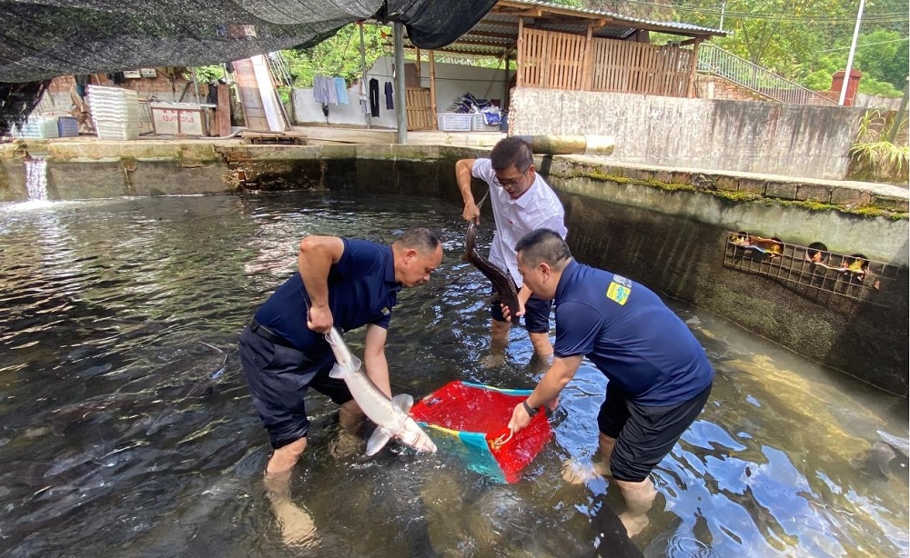 人生就是博·(中国区)集团官网